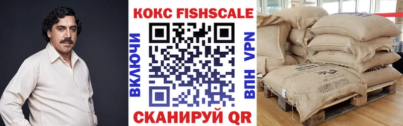 где найти   Камбарка  COCAIN 97% 