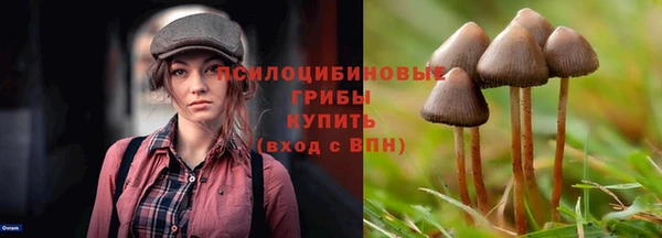 каннабис Алексин