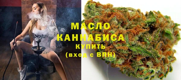 дмт Краснослободск