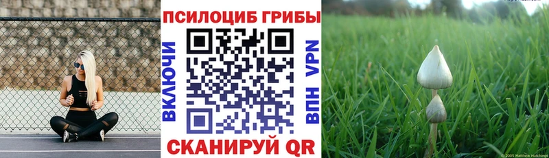 Галлюциногенные грибы мухоморы  блэк спрут ссылки  Камбарка 