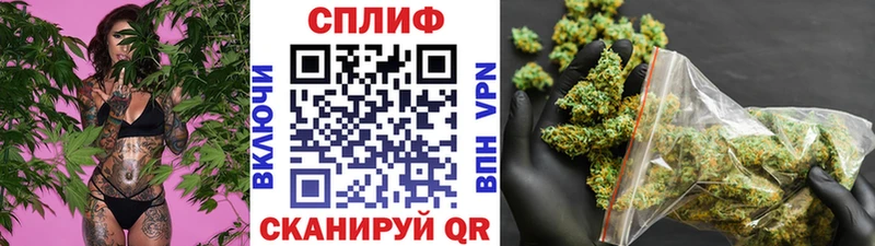 Шишки марихуана конопля  Камбарка 
